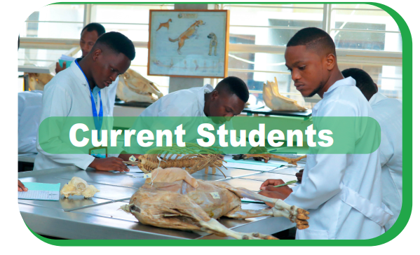 Students in the lab