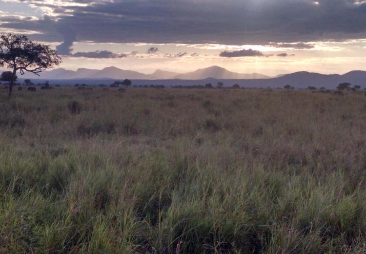 Tanzania’s Natural Vegetation