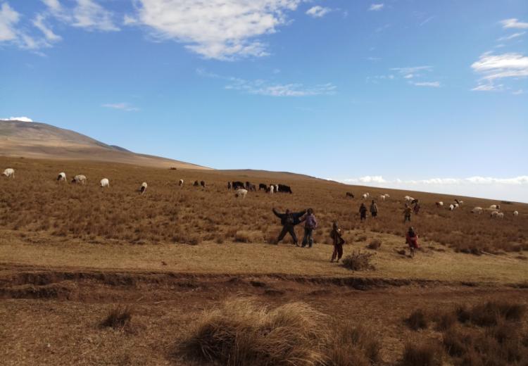 A photo showing maasai children near grazing livestock around 17.00 EAT, Sept. 2018 in Ngorongoro Conservation Area, Tanzania (Consent sought)