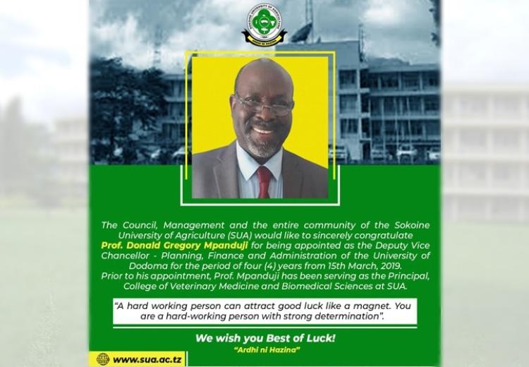Prof. Mpanduji appointments