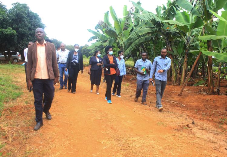 Auditing Committee visits SUA