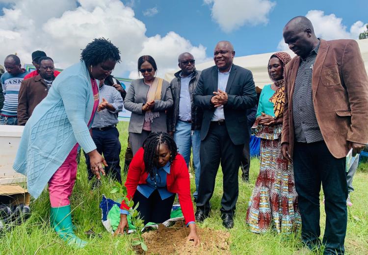 SUA na NEMC Yapanda Miti Zaidi ya 45,000 katika Vyanzo vya Maji Nyanda za Juu Kusini