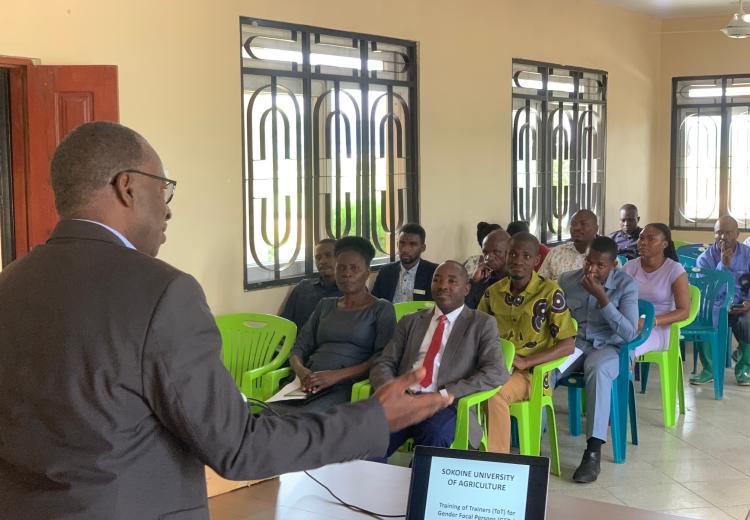 Washauri Masuala ya Jinsia Yafundishwe Kwenye Kozi Zote SUA