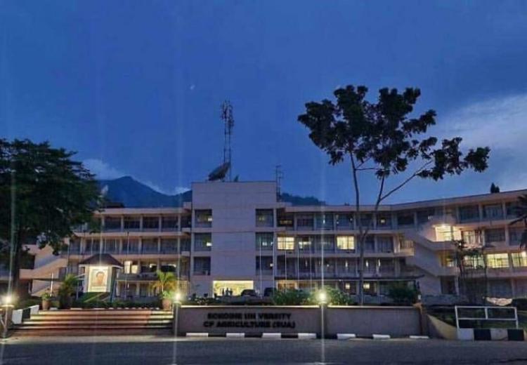 Excellence at its Finest: SUA takes the lead in Webometrics, AD Scientific Index and EduRank Rankings