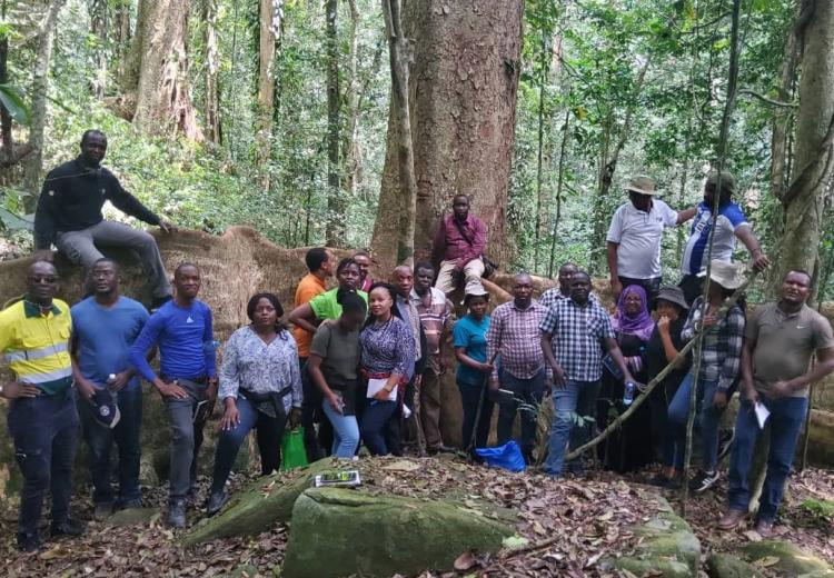 SUA REFOREST Programme