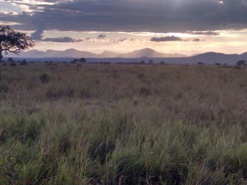 Tanzania’s Natural Vegetation