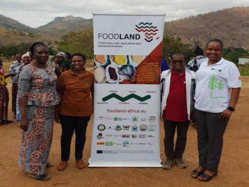 Women in Tanzania empowered by the FoodLAND project