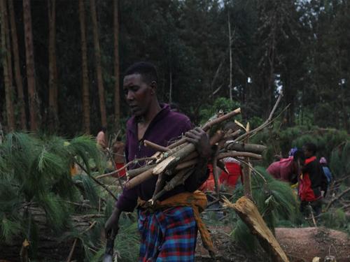 Wananchi wa Arusha Wapongeza Menejimenti ya SUA kwa Kuwawezesha Kiuchumi Kupitia Msitu Wake wa Mafunzo wa Olmotonyi