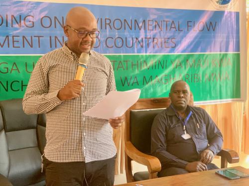 EFLOWS Project activities