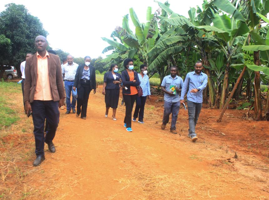 Auditing Committee visits SUA